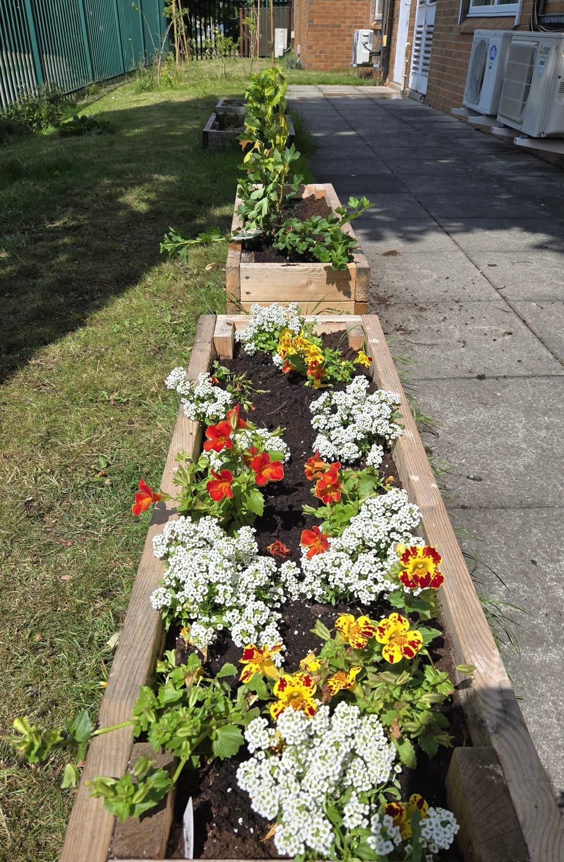 flower boxes at sutton manor surgery