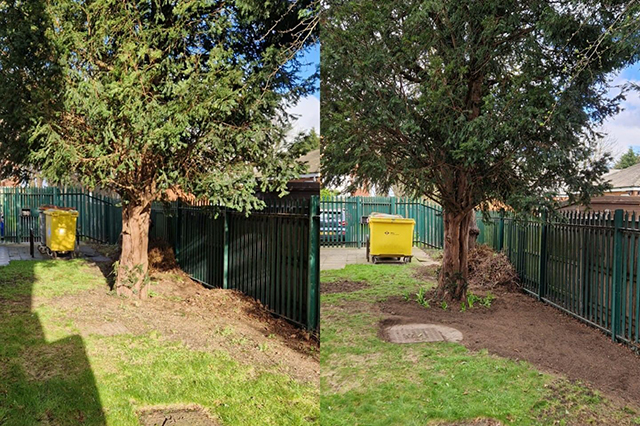 Before and after garden project