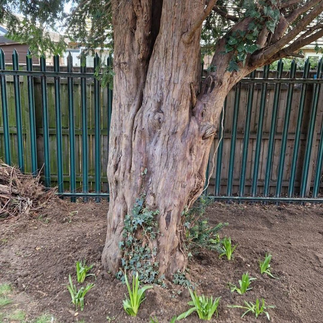 Community garden